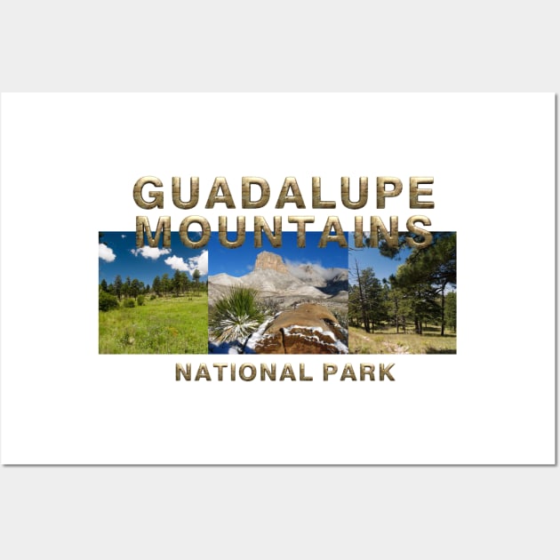 Guadalupe Mountains Wall Art by teepossible